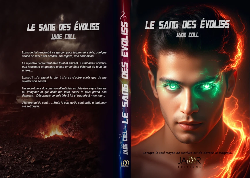 Couverture roman poche